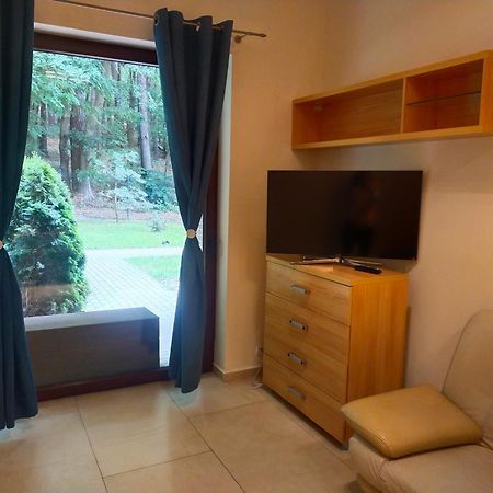 Apartament Przy Parku Виселка Экстерьер фото